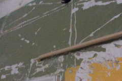 070A2F80-35D8-4D51-975B-72AAFE8ED532