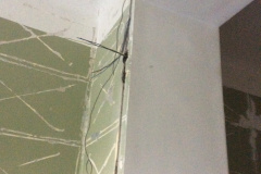 2E2712F6-F20F-4555-BDC7-97B0B93ADE61