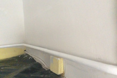 19A911AD-37C2-4F69-87FC-5A0660BCF66C