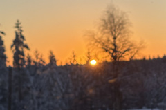 IMG_1018-2