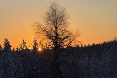 IMG_1019-2