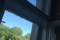 4E364542-67EF-4641-BCF4-D3DAD1AAB11A